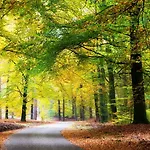 Landgoed Stakenberg - & 3*