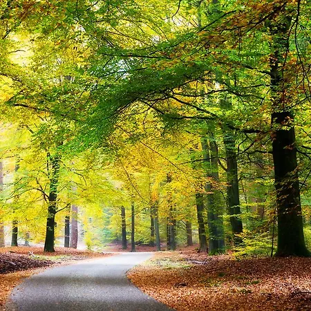 فندق Veluwe Stakenberg 3*