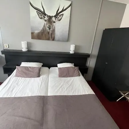 Veluwe Stakenberg Elspeet