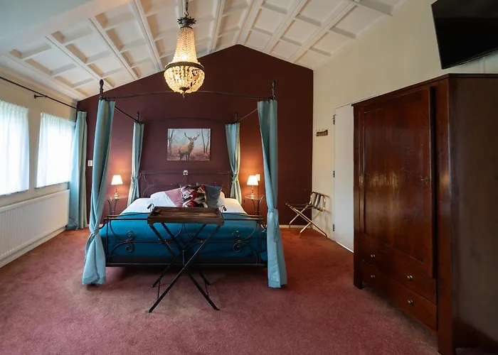 Hotel Landgoed Stakenberg - &