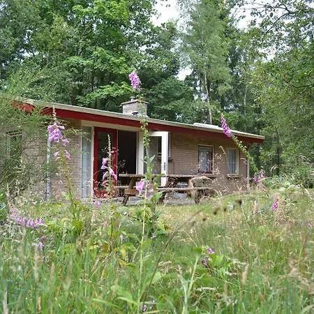 Veluwe Stakenberg Hotel Elspeet