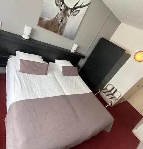 Hotel Landgoed Stakenberg - Hotel&bungalows Elspeet