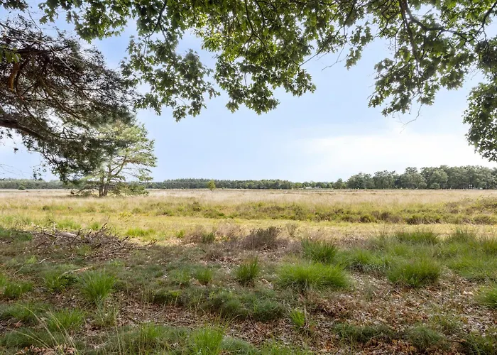 Landgoed Stakenberg - Hotel&bungalows Hotel