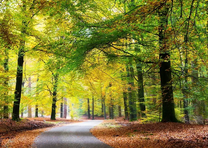 Landgoed Stakenberg - Hotel&bungalows 3*